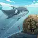 Bitcoin: Como las ballenas apostan contra BTC, ¿qué sucede ahora?