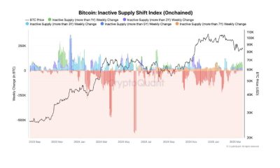 Los titulares a largo plazo de Bitcoin se niegan a vender: lo que significa para BTC