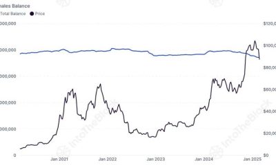 Las tenencias de ballenas de bitcoin caen al mínimo de 6 años: lo que significa para BTC