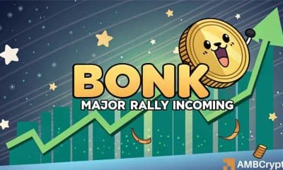 Predicción de precios de Bonk: evaluar las probabilidades de un posible rally del 22%