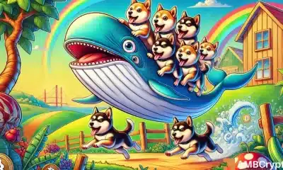 Por qué las ballenas de Dogecoin están recogiendo dux incluso cuando Price cae