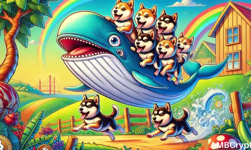 Por qué las ballenas de Dogecoin están recogiendo dux incluso cuando Price cae