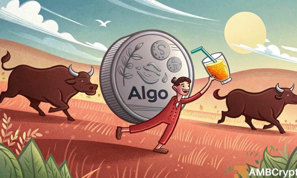 Algorand: ¿Puede Algo apuntar $ 0.32 después después de romper este patrón?