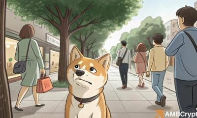 La actividad de la red de Dogecoin cae a 6 meses bajo: ¿está en peligro?