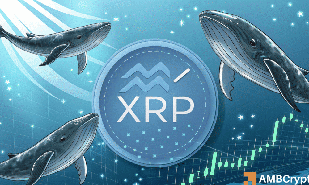 XRP: Las ballenas aparecen Post Crypto Reserve Aviso - ¿Impacto en el precio?