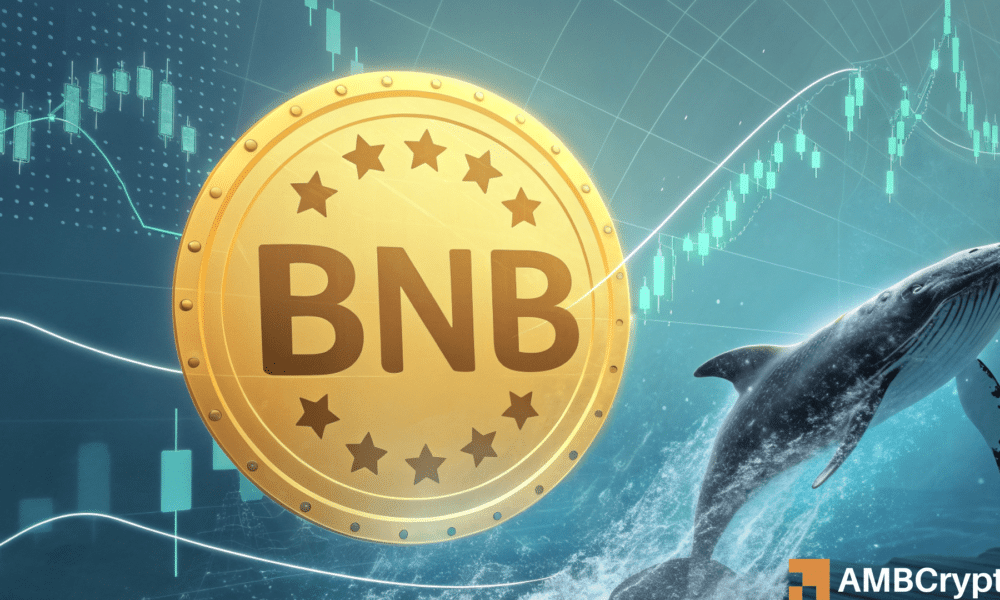 ¿Podría esta obra de ballenas BNB finalmente estimular la acción del precio de Altcoin?