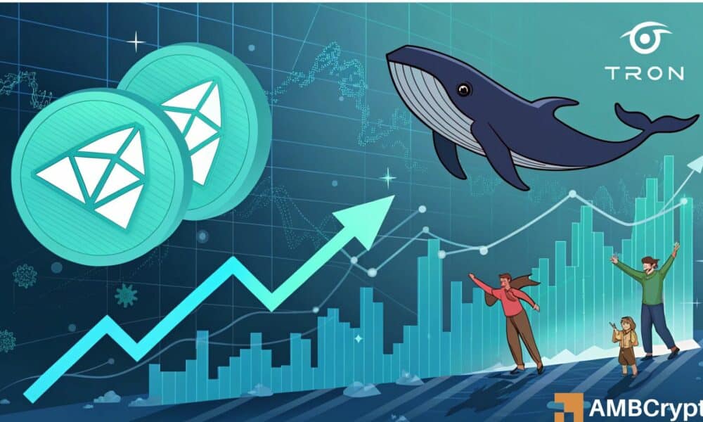 Las ballenas acumulan 2B Tron: ¿puede ayudar a TRX a superar $ 0.25?