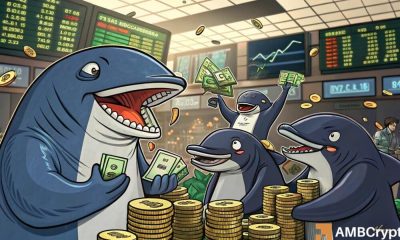 Las ballenas Pepe recogen 14.5t tokens en un día: ¿Impacto en el precio?