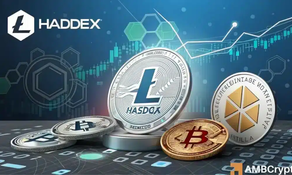 Hashdex Eyes XRP y Cardano para la expansión de cripto y ETF: ¿son más alternativas las siguientes?