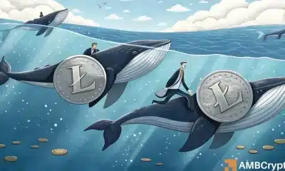 Evaluar las probabilidades de recuperación de Litecoin y el papel que las ballenas tienen que jugar