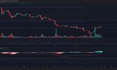 Toncoin de 1 día