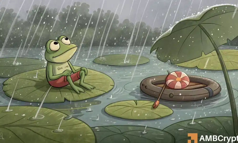 Pepe: Rechazado a $ 0.00009 - Por qué la recuperación de Memecoin parece poco probable