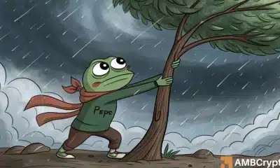 El apoyo de Pepe se desmorona: ¿se dirige la Memecoin a un accidente más profundo?