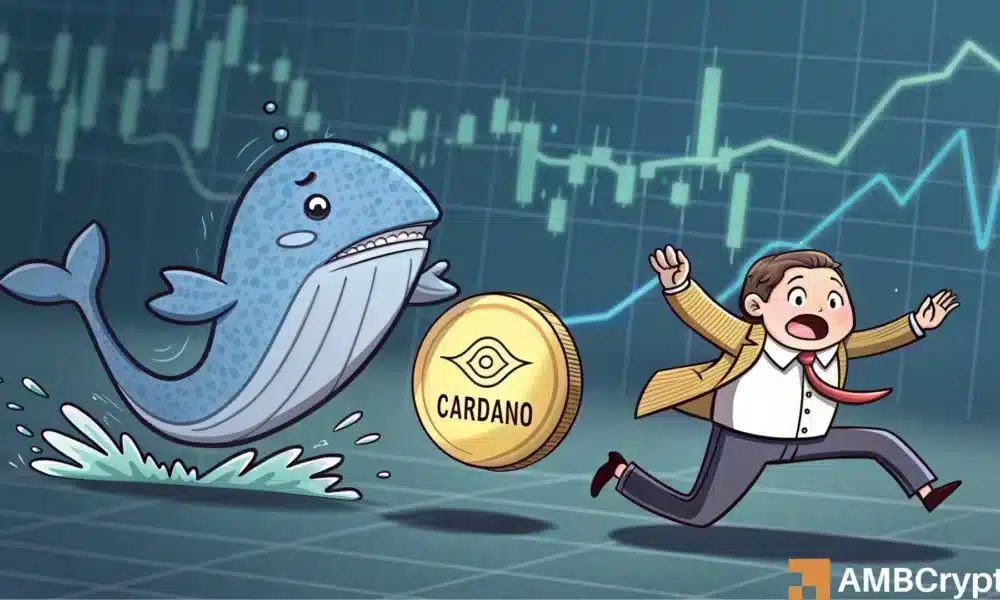 La actividad de la ballena y caída del 18% de Cardano plantea preocupaciones, ¿qué sigue?