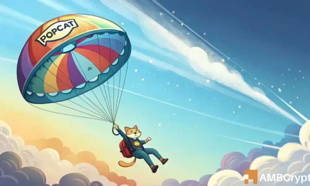 Popcat Eyes 3x Surge mientras las ballenas invierten $ 80 millones, pero ¿qué pasa con los comerciantes spot?