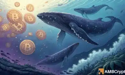 60 nuevas ballenas bitcoin se están cargando: ¿qué secretos saben?