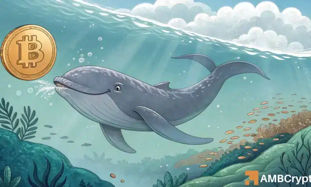 La posición de ballena de $ 198 millones de Bitcoin podría provocar un rally: aquí es qué esperar