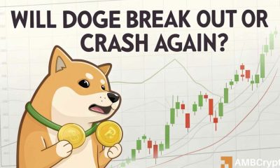 ¿Dogecoin Bulls en control? El 54% de los comerciantes pasan mucho tiempo cuando las ballenas dogadas se elevan