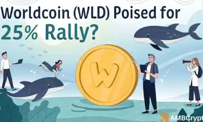 WorldCoin: Ballenas e instituciones Swarm WLD: ¿saltará el próximo?
