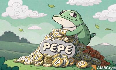 La última venta de ballenas de Pepe y su impacto en el precio de Memecoin