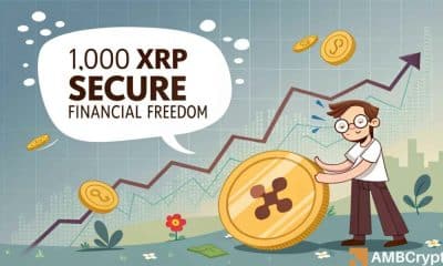 ¿Podría 1,000 XRP asegurar la libertad financiera para 2029? Pundit deja caer una predicción audaz