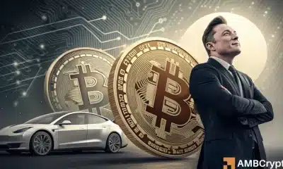 Tesla posee a Bitcoin estable a medida que el almizcle cambia el enfoque del grupo de trabajo 'dux' de Trump