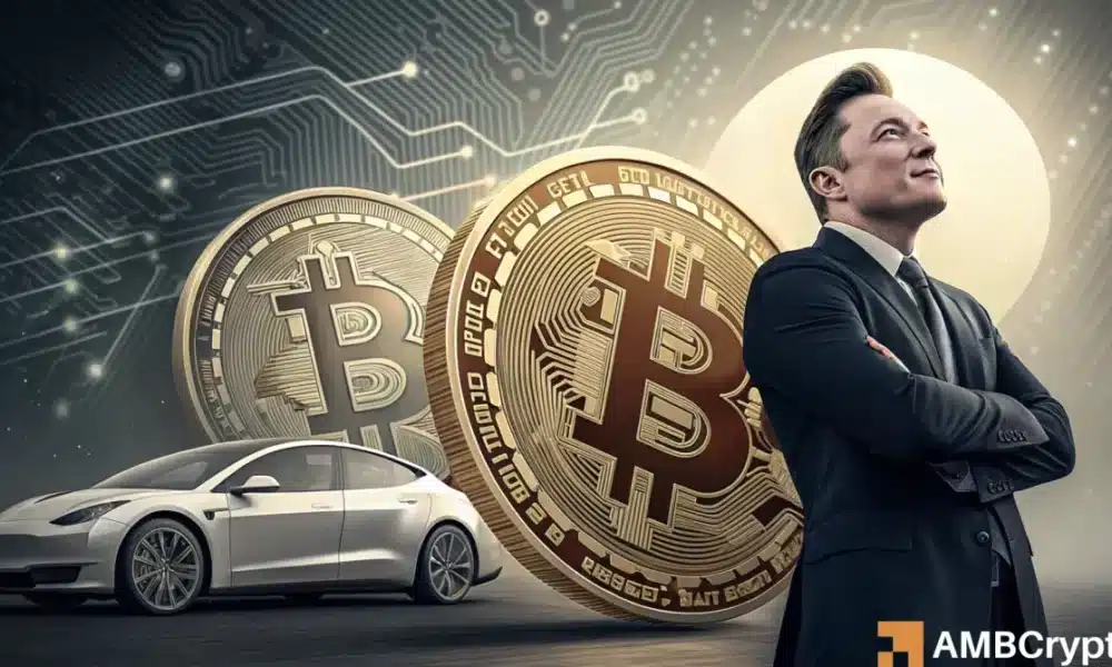 Tesla posee a Bitcoin estable a medida que el almizcle cambia el enfoque del grupo de trabajo 'dux' de Trump