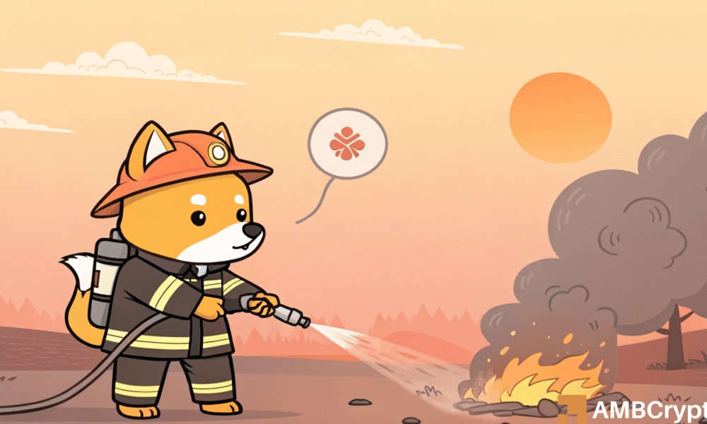 La tasa de quemaduras de SHIB cae 82% en 7 días: ¿qué hay detrás de la desaceleración de Memecoin?