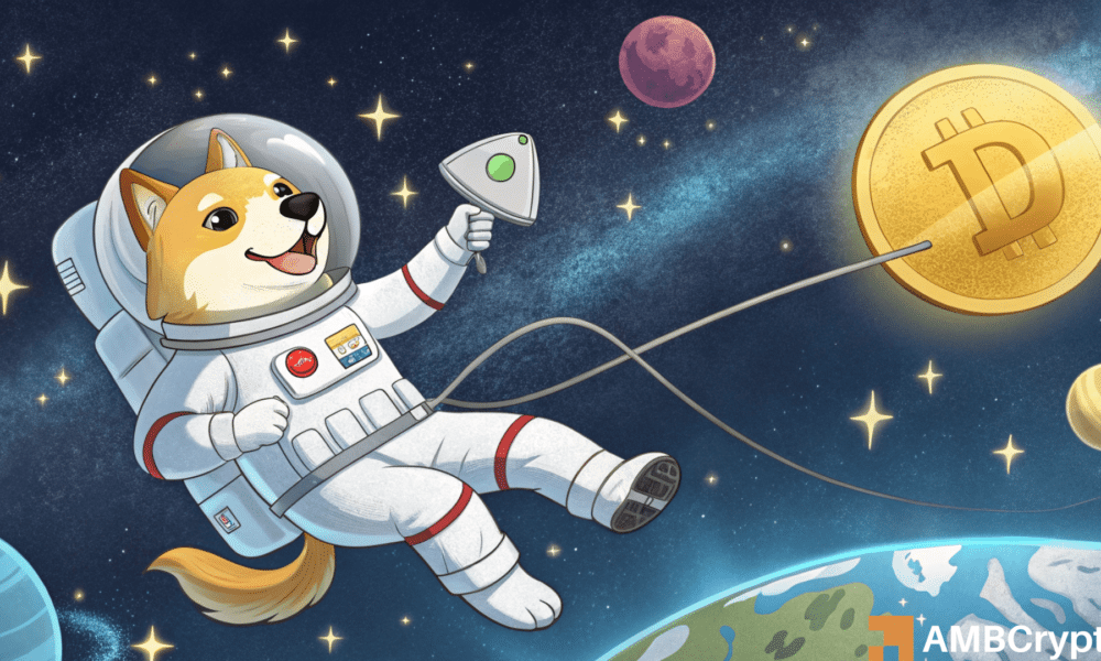 Las ballenas de Dogecoin acumulan tokens de 80 millones, ¿suficiente para empujar Doge más allá de $ 0.20?