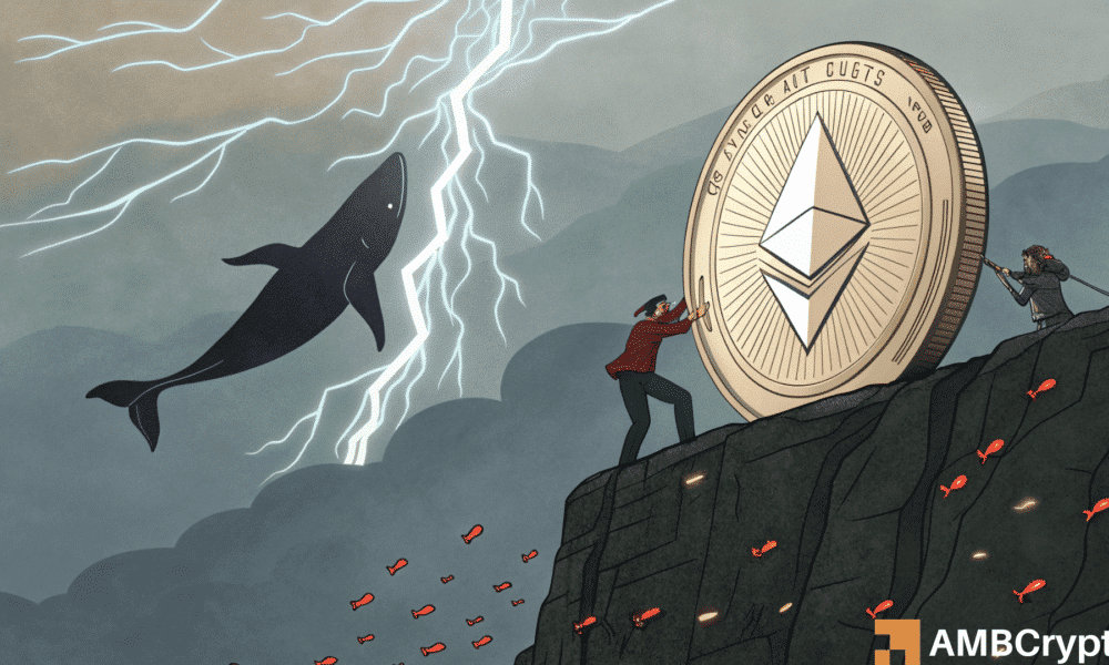 ¿Están las ballenas Ethereum que anticipan una corrección más profunda? - El análisis revela ...