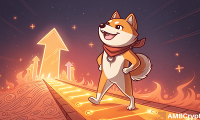 El 1,361% de Shiba Inu, el pico de quemaduras, ¿solo un momento de 'Flash in the Pan'?
