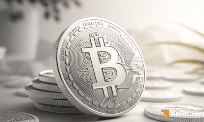 Las ganancias de Bitcoin Whales y $ 95k: ¡esto es lo que los operadores realmente deberían tener en cuenta!