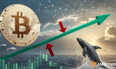 Bitcoin ballena cambia 1,220 BTC de Kraken: ¿esto ayuda a rebotar el precio?