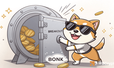 Bonk sube un 12% en 24 horas: aquí está por qué el rally podría seguir adelante
