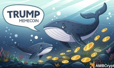 Las ballenas de Trump están descargando sus tenencias, ¿deberías hacer lo mismo?
