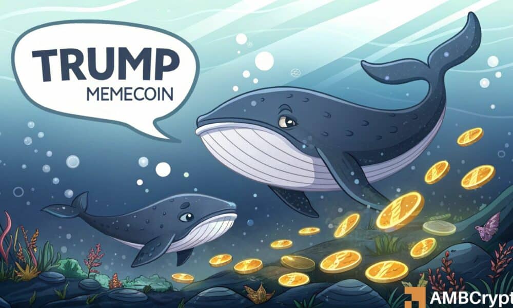 Las ballenas de Trump están descargando sus tenencias, ¿deberías hacer lo mismo?