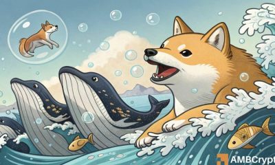 Shiba inu ballenas descarga tokens 801b en 24 horas: ¿Cómo impacta este Shibs?