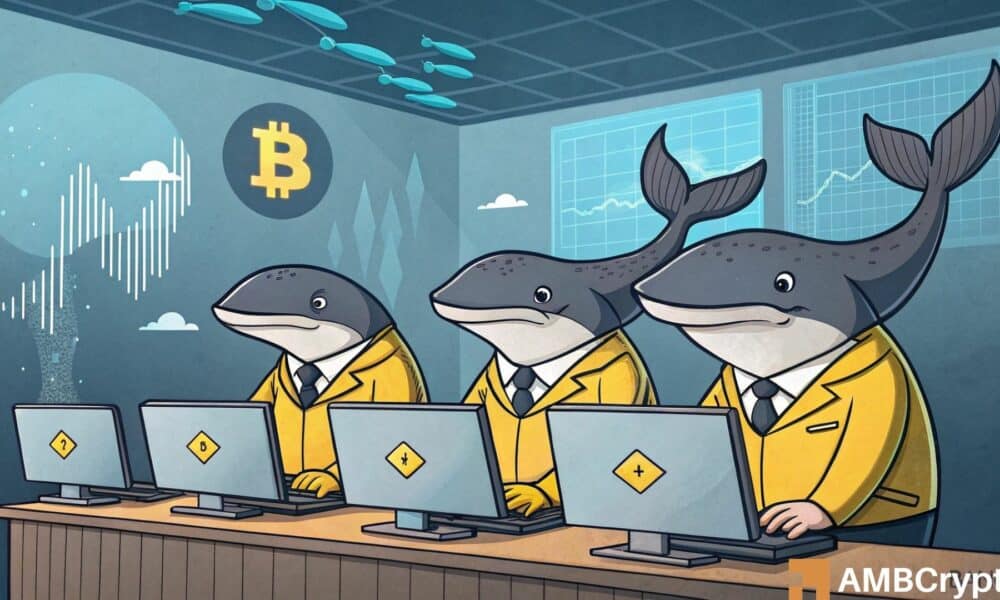 La actividad ballena de bitcoin cae en $ 3B - ¿Qué sigue para la recuperación de BTC?