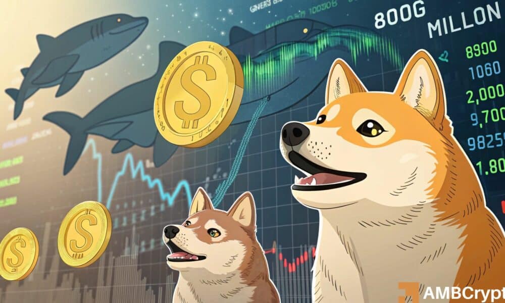 Compra de 800m de Dogecoin Whales - ¿Qué debe esperar a continuación?