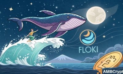 Floki salta a un pico de 2 meses, pero ¿por qué las ballenas están rescatando la bomba?