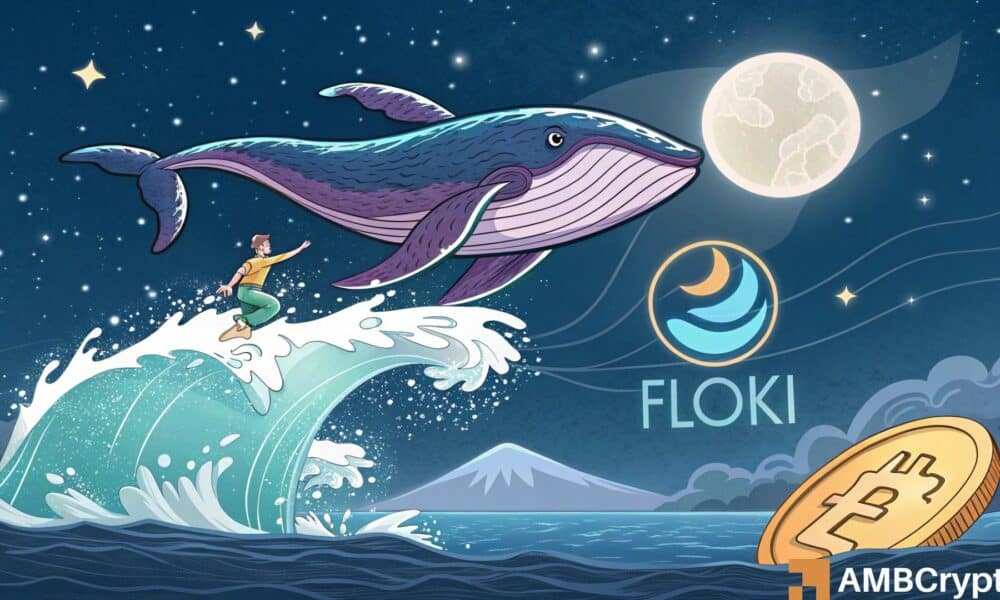 Floki salta a un pico de 2 meses, pero ¿por qué las ballenas están rescatando la bomba?
