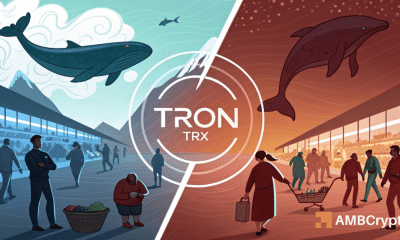 Tron ballenas, salida minorista: lo que esto significa para la corrección de TRX