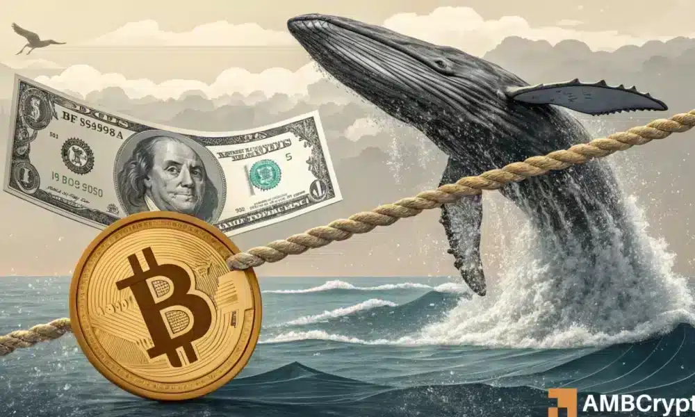 Las ballenas bitcoin absorben la presión del mercado, pero ¿viene realmente una carrera parabólica?