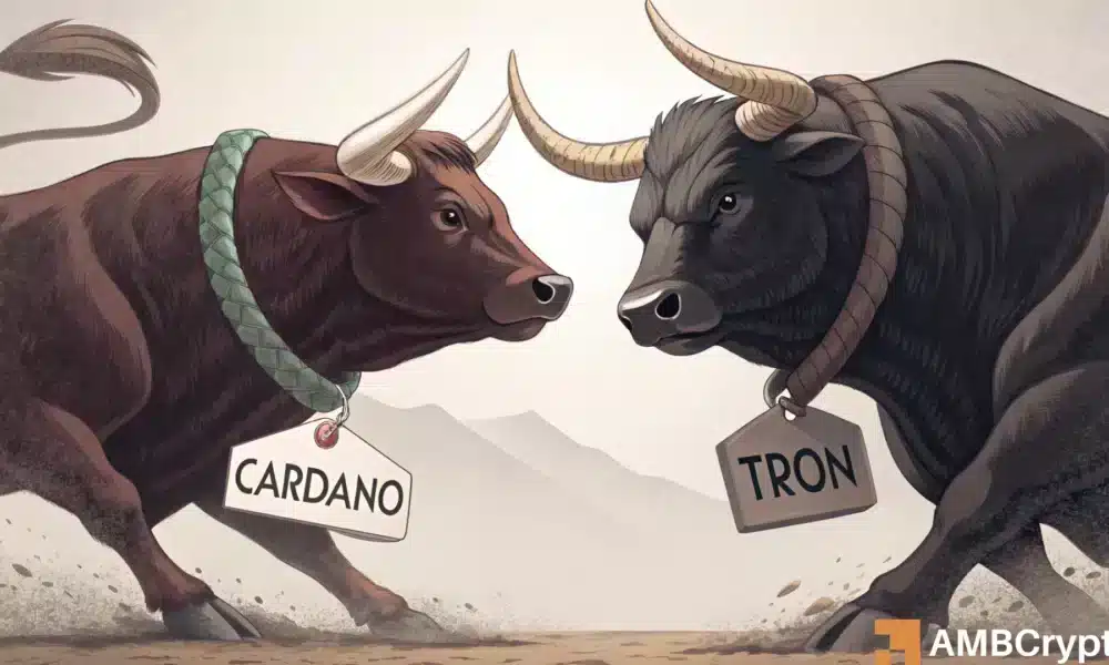 ¿Tron o Cardano en Q2? ¡Las señales en la cadena apuntan a un claro ganador!