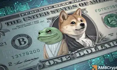 ¿Memecoins son la nueva cobertura del mercado? ¡Estos tokens están desafiando la tendencia bajista!