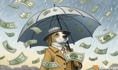 ¿Dogwifhat a $ 1? Por qué FOMO podría ser el gran gatillo de Wif
