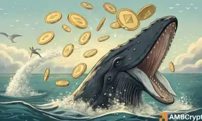 Ethereum-¿Han desencadenado la próxima capitulación de Eth's Whale ha provocado la próxima capitulación?