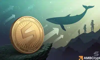 Solana ballena descarga $ 10.7 millones en SOL de $ 192 millones en bóveda: ¿están los inversores al límite?