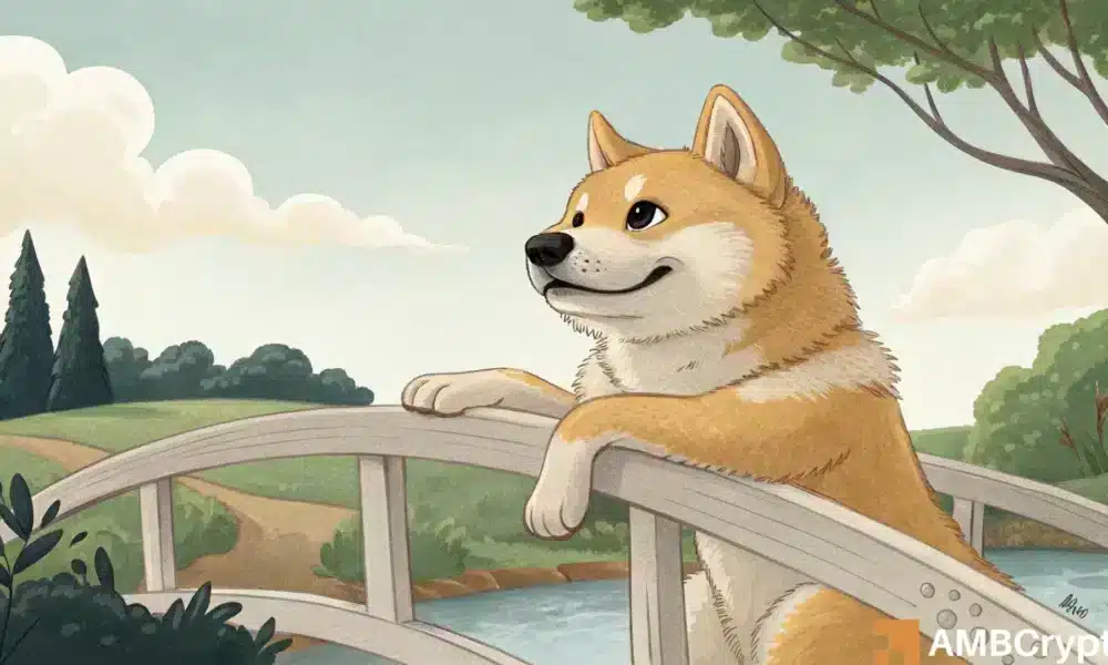 Dogecoin se sumerge 16%, llegó a $ 0.16: ¿A dónde irá Doge después?