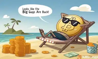 Bitcoin ETFS HIT Registro de entrada: 500x Romper la tendencia 2025! - ¿Qué ahora?